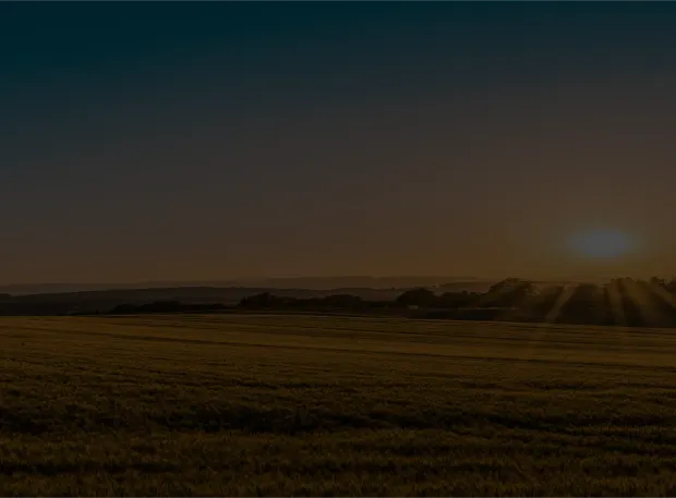 Paisagem ensolarada com montanhas ao fundo